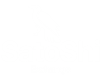 satoshi logo